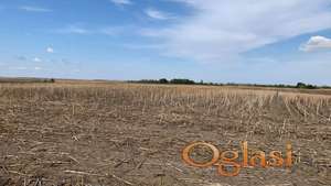 Prodajem dobro poljoprivreno zemljište u Bačkom Petrovom Selu